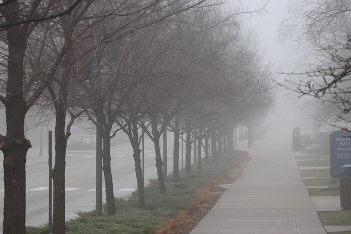 Trees and empty sidewalk on foggy Jayhawk Boulevard