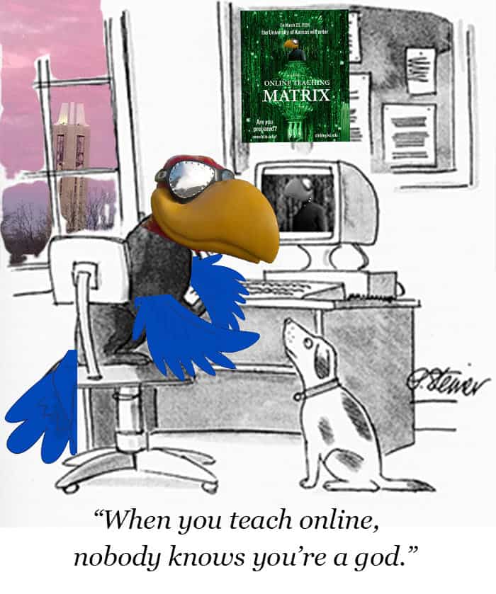 jayhawk sits at computer and tells a dog, "When you teach online, nobody knows you are a god."