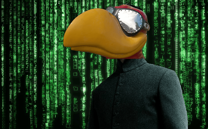 Jayhawk in sunglasses in front of a green computer code background from the Matrix movie